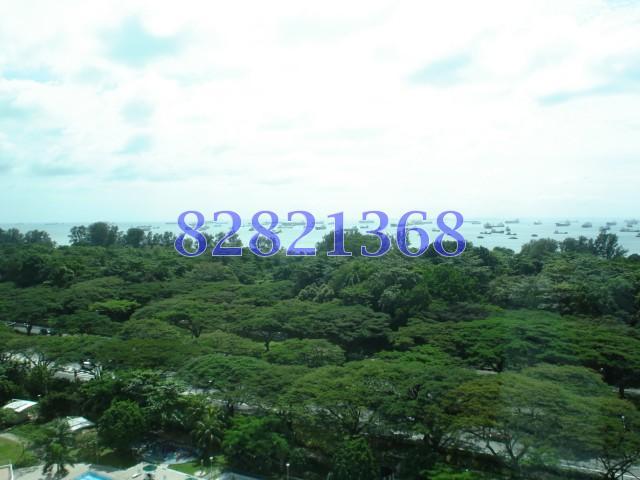 Costa Del Sol (D16), Condominium #114746372